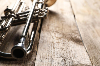 Quel instrument de musique est fait pour votre personnalité ?